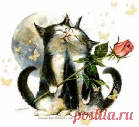 "Ich liebe Dich, meine kleine Maus...!"