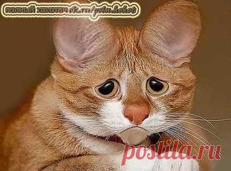 .....Портрет грусти!)