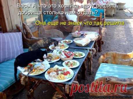Новая смешная котоматрица