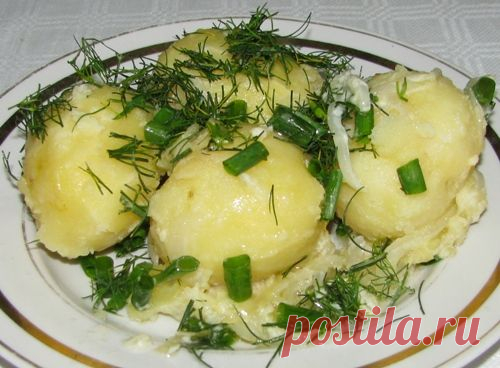 Пища, которую нужно употреблять как можно чаще — Всегда в форме!