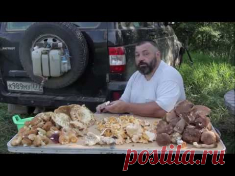 Рецепт соленых консервированных грибов на зиму без ботулизма.
