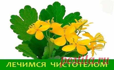 (6) Одноклассники
