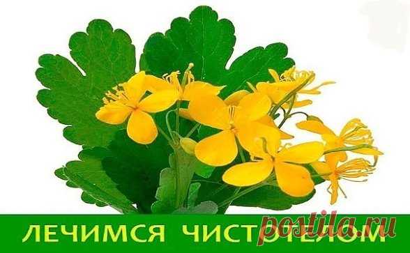 (6) Одноклассники