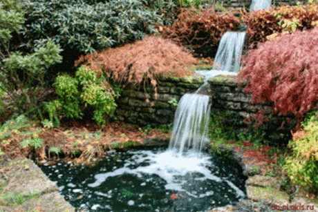 Живые фотографии – Живые картинки – Сообщество – Google+