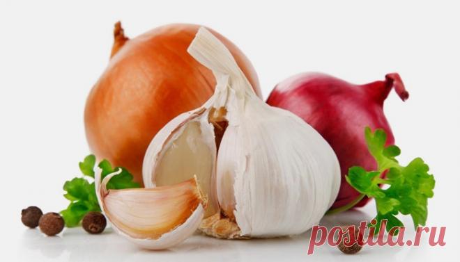 Польза чеснока для организма человека