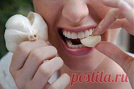 Чеснок при отравлении поможет в 100 раз быстрее лекарств |При пищевых отравлениях, вызванных кампилобактериями, чеснок в 100 раз эффективнее, чем лекарства.