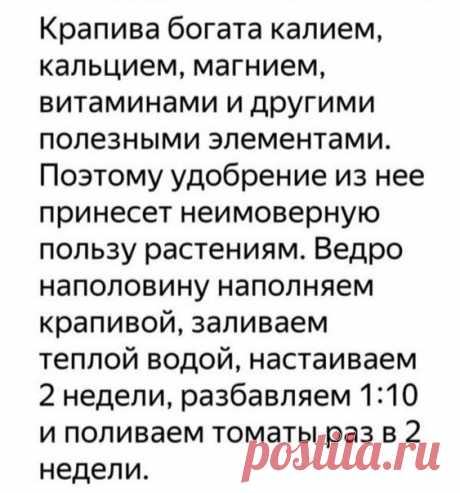 (998) Pinterest