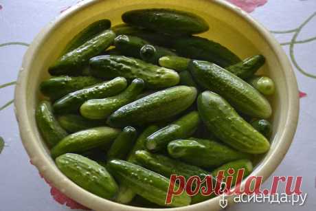 Огурцы "А-ля из бочки" (только для тех, кто любит ядреные)