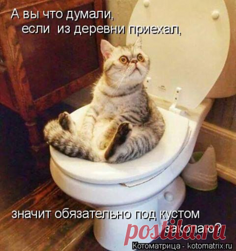 Интересные новости