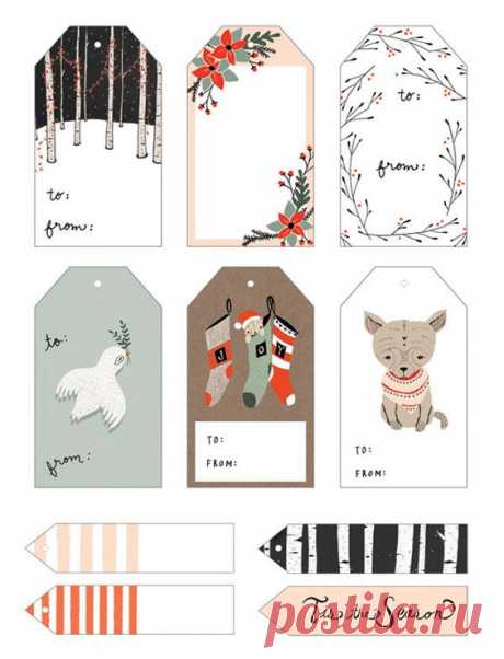 (115) Pinterest