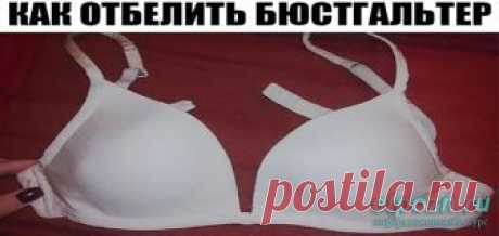 Как отбелить бюстгальтер Как отбелить бюстгальтер ИНГРЕДИЕНТЫ 2 ст. л. соли 1 ст. л. соды 1 ст. л. стирального порошка ПРИМЕНЕНИЕ Налей в тазик теплую воду, но не горячую. Добавь указанные ингредиенты и хорошенько перемеша…