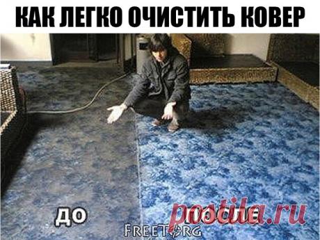 Как легко очистить ковер (Жми поделиться)
Чтобы сократить траты на средства для мытья ковров, которые нам предлагают купить в магазинах, давайте сделаем средство для мытья ковров сами. Это средство будет в разы дешевле, без бесконечного списка химии с составе и самое главное - оно будет чистить. 
Итак, нам понадобится:
 - горячую воду, не кипяток (пол литра); 
- 1 столовую ложку пищевой соды;
 - 1/3 стакана уксуса;
- 1 столовую ложку стирального порошка(или любого мыльного...