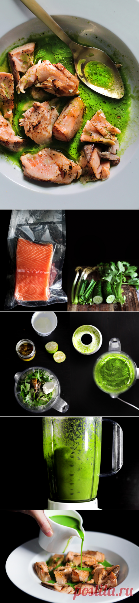 Поджигали лососевая зеленый сок СОУСОМ - Леди и Pups - сердитый блог пищи