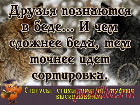 Друзьям остаются те, кого с годами не сожрала зависть.