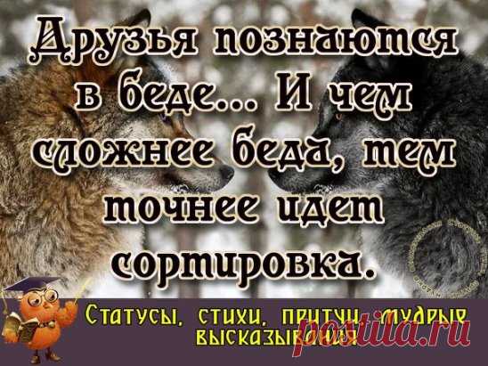 Друзьям остаются те, кого с годами не сожрала зависть.