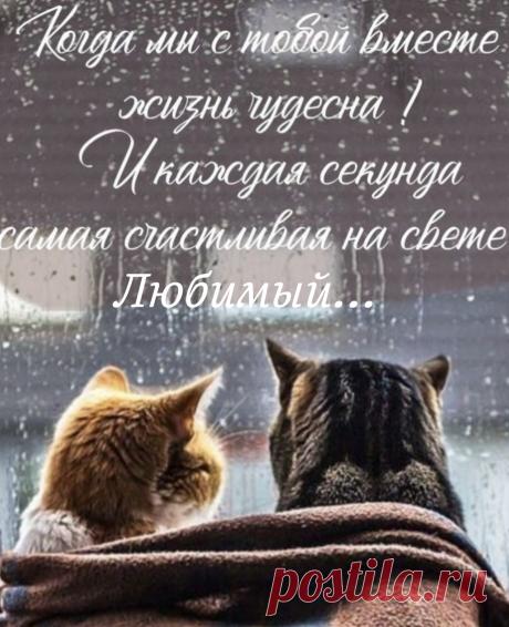 Любимый человек, в тебе я растворяюсь,
В твоих губах и ласках, забываюсь,
Любимый человек, с тобой хочу я быть,
Твои уста и шёпот о любви мне не забыть!