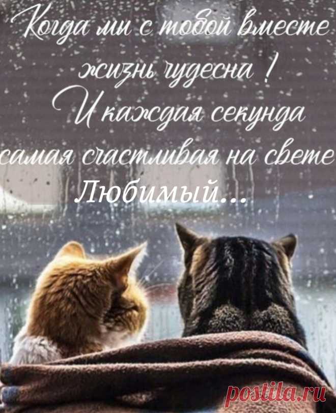 Любимый человек, в тебе я растворяюсь,
В твоих губах и ласках, забываюсь,
Любимый человек, с тобой хочу я быть,
Твои уста и шёпот о любви мне не забыть!