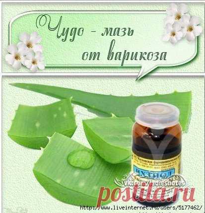 ВОЛШЕБНАЯ МАЗЬ. ОТ ВАРИКОЗНОГО РАСШИРЕНИЯ ВЕН