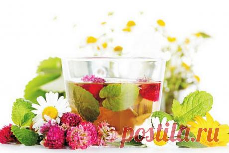 Доступные методы восстановления работы щитовидной железы | Здоровье доступно каждому | Яндекс Дзен