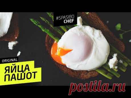 ЯЙЦА ПАШОТ #11 (готовьте яйца под юбкой) Илья ЛАЗЕРСОН 🍝