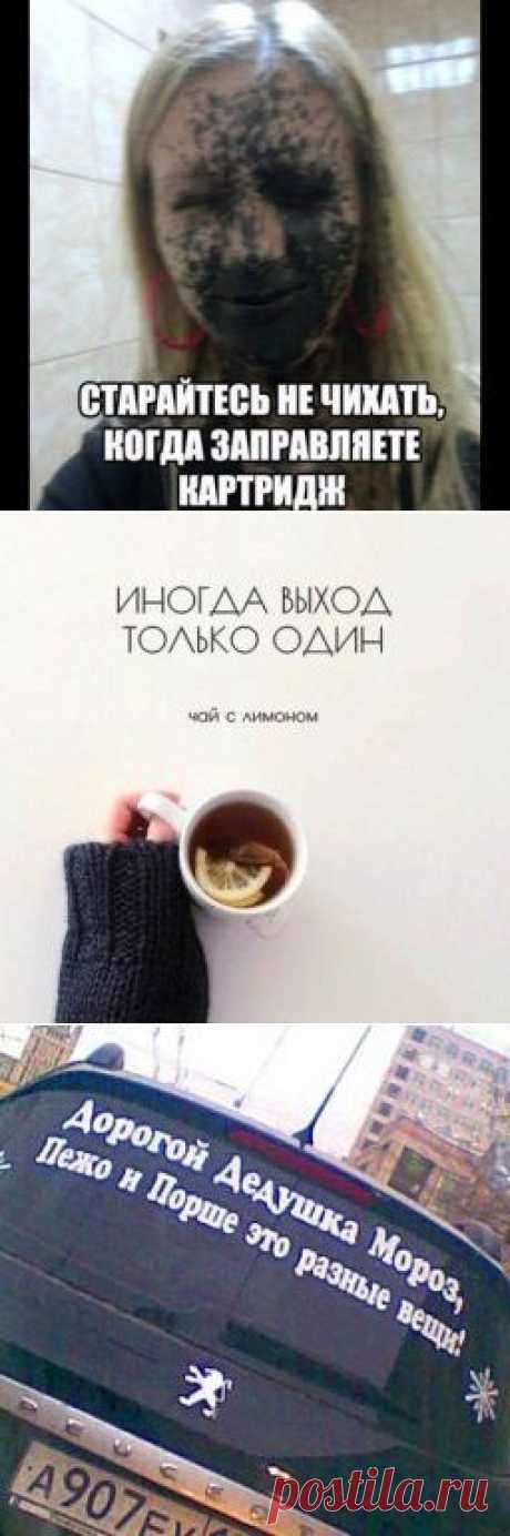 Приколы