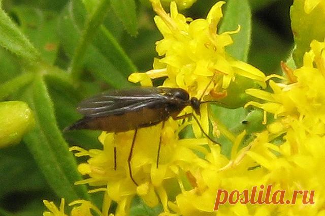 Дневник anngol