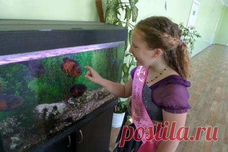 Анна Fedorova - Черноголовка, Московская обл., Россия, 33 года на Мой Мир@Mail.ru