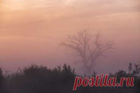 max_helloween - О рождении нового дня. Берега Немана.