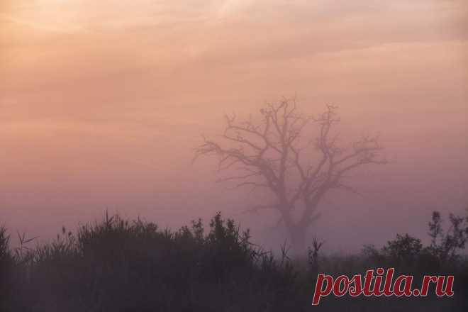 max_helloween - О рождении нового дня. Берега Немана.