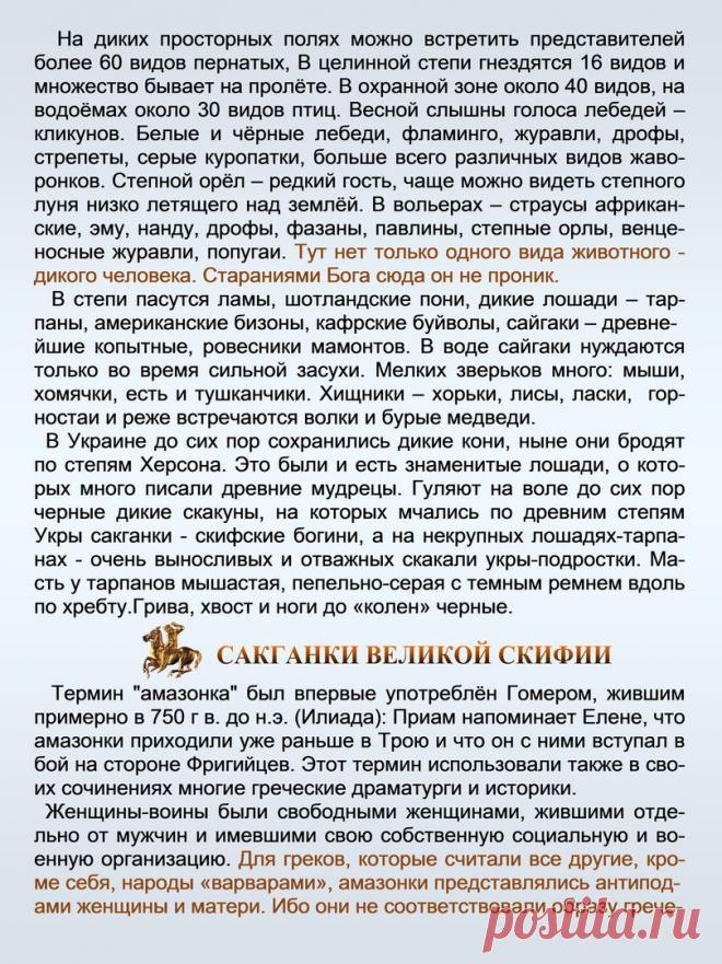 Др наук Сан Чад * История Античной Украины – 92 фотографии