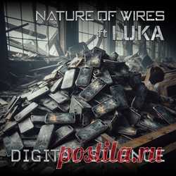 Nature of Wires ft Luka - Digital Silence (2024) 320kbps / FLAC
