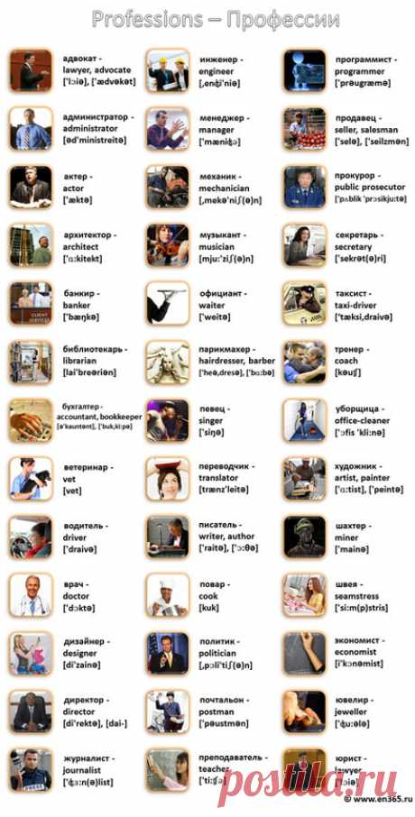 Профессии на английском языке в картинках с переводом и транскрипцией для детей и взрослых