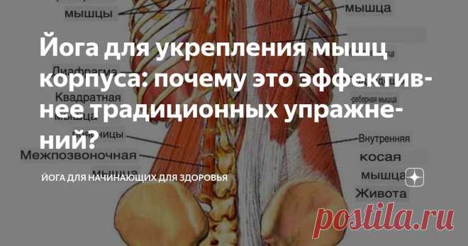 Йога для укрепления мышц корпуса: почему это эффективнее традиционных упражнений? Статья автора «Йога для начинающих для здоровья» в Дзене ✍:    Вам знакома ситуация, когда монотонное выполнение одних и тех же упражнений для мышц кора не приносит желаемого результата?