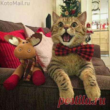 Первый подарок для Васеньки!