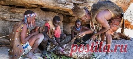 Биологи и антропологи считают, что нам есть чему поучиться у этого народа.