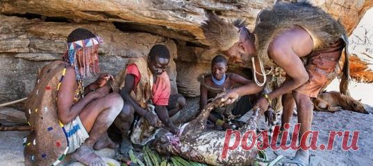 Биологи и антропологи считают, что нам есть чему поучиться у этого народа.