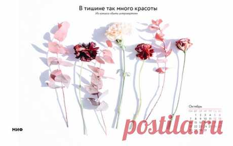 Вдохновляющие обои с календарями на октябрь 2019 года для ноутбука, планшета и телефона
