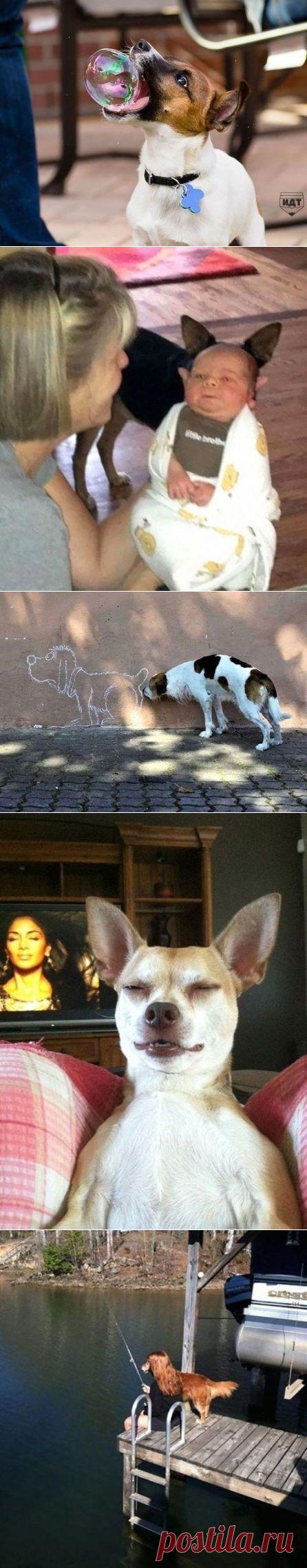 Кадры сделанные в нужный момент | Позитив