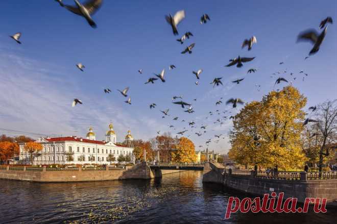 Провинциальный Петербург: прогулка по местам исторического района Коломна  