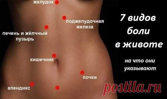 Я отличная хозяйка, жена и мама