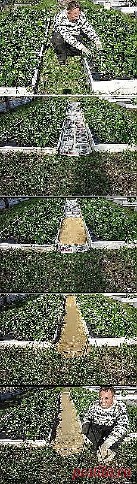 Светлана Стаценко: САД И ОГОРОД | Постила.ru