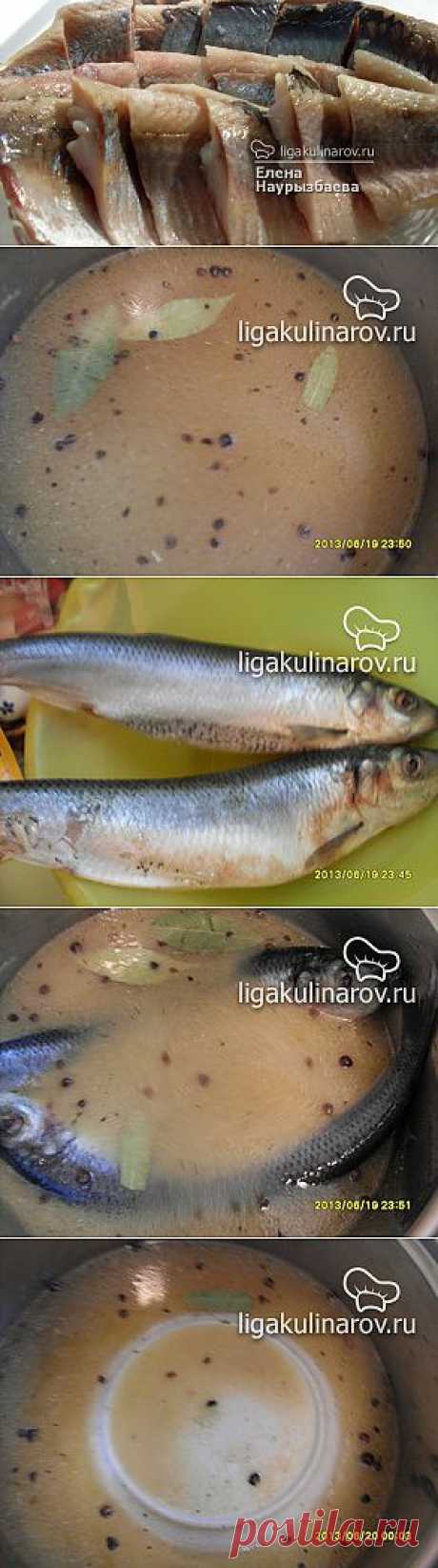 Сельдь домашнего посола – рецепт с фото от Лиги Кулинаров, пошаговый рецепт