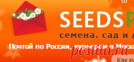 Семена почтой по России в самом крупном интернет-магазине