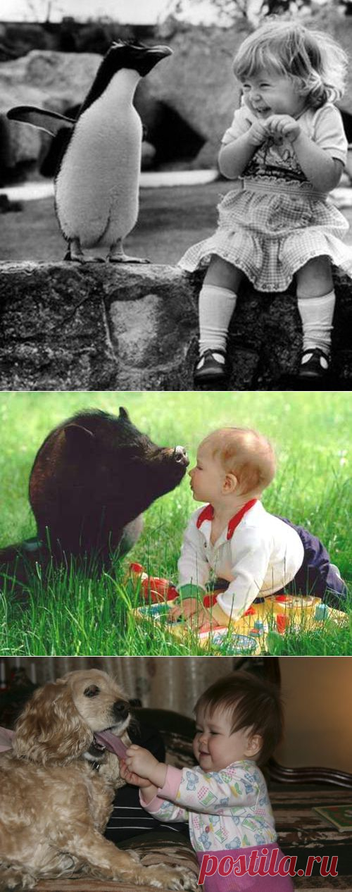 Дети и животные - милая дружба!.