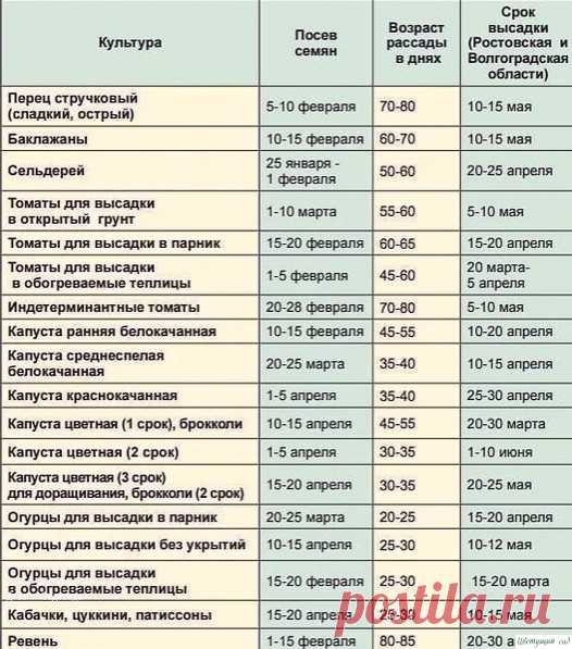 КОΓДА САЖАТЬ РАССАДУ Β 2020 ΓОДУ - КАЛЕΗДАРЬ ΠОСАДКИ РАССАДЫ