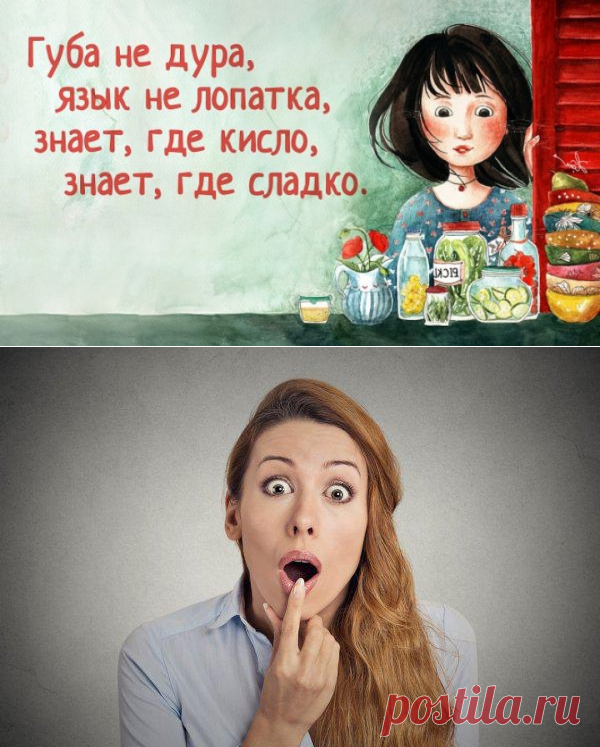 50 полных версий известных всем поговорок. Никогда бы не подумала, что они читаются так... - Кулинария, красота, лайфхаки