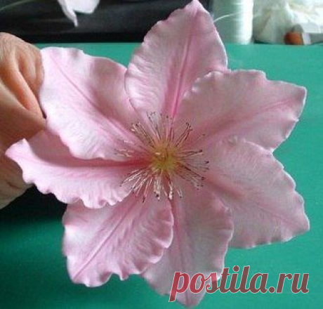 Профессиональный мастер-класс по созданию клематиса. Сахарная мастика.Рукотворные цветы.Цветы своими руками.Рукоделие.