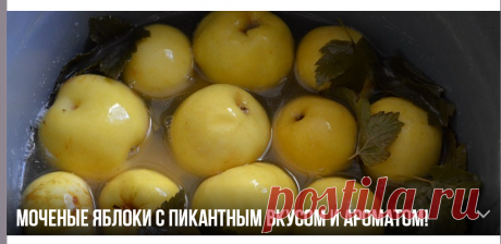 Моченые яблоки с пикантным вкусом и ароматом! | ОБО ВСЁМ