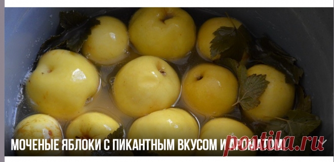 Моченые яблоки с пикантным вкусом и ароматом! | ОБО ВСЁМ