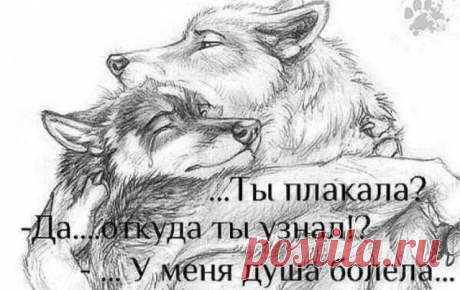 Жизнь похожа на шведский стол..